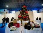 ingruppo 16